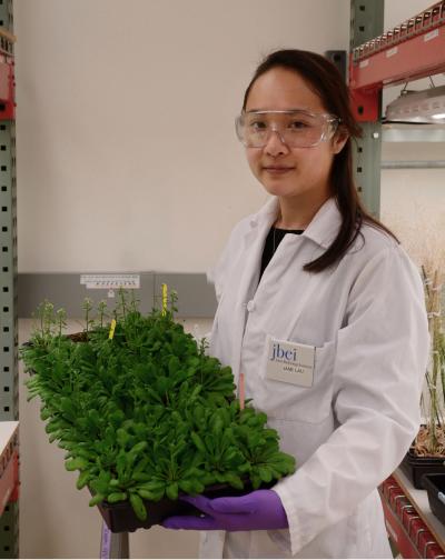 Engineering Plants for Biofuels (2 of 2)