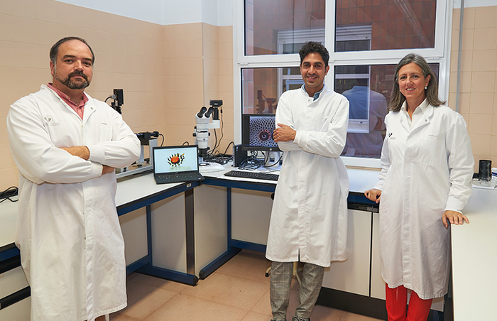 UPV/EHU's Microfluidics Cluster