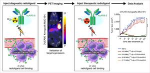 Radiotheranostic platform that employs a MUC16-targeting humanized antibody, huAR9.6.