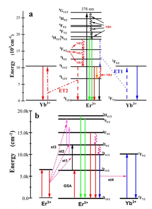 Quantum cutting and infrared upconversion mechanisms