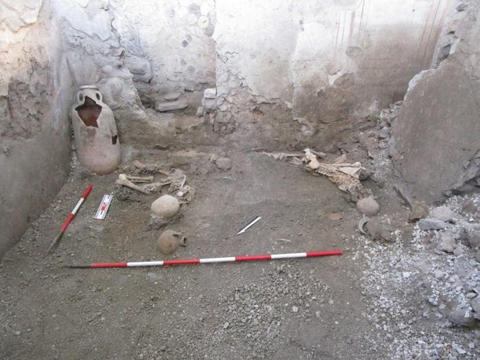 Skeletons found in Pompeii