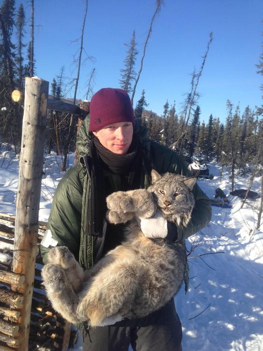 Derek Arnold and male Canada lynx