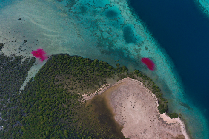 Drones shed light on coastal water flows