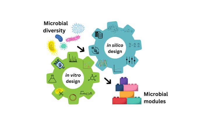 Computer-aided engineering cycles applied to biology