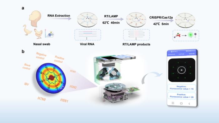 New Smartphone-Controlled Microfluidic Device Helps Rapid Influenza Detection