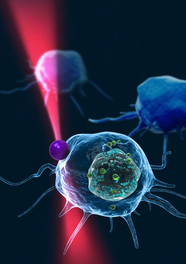 Concept Image of Tweezing Optically Trapped Glass Bead on Cellular Membrane of White Blood Cell