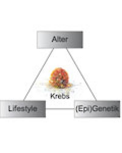 Cancer Risk: Aspirin and Smoking Affect Aging of Genes