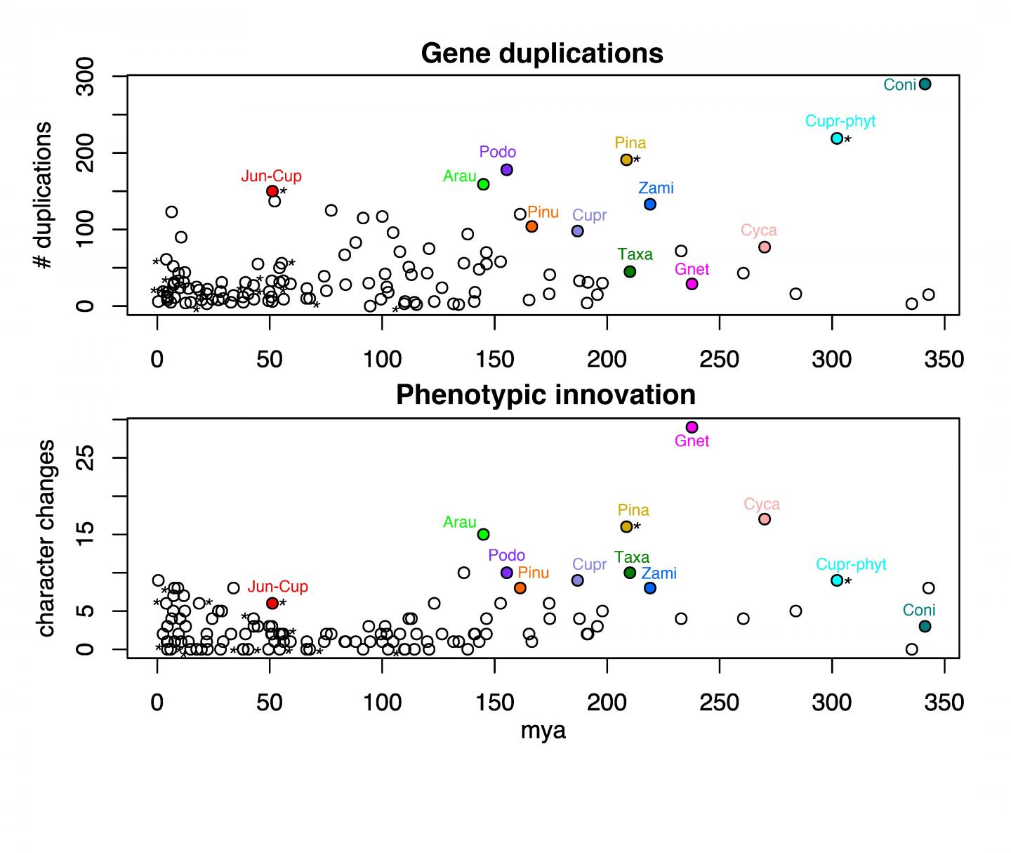 Plots showing coinciding spikes of gene duplication and phenotypic innovation of major gymnosperm clades