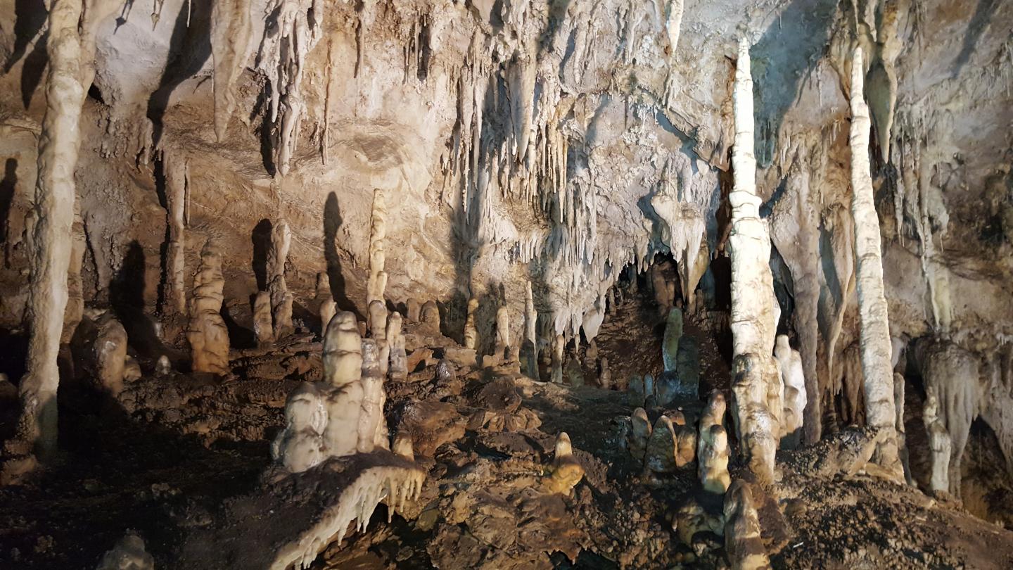 Stalagmites Helped Date the Timing of Climate Events