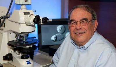 Tom Roberts, Florida State University