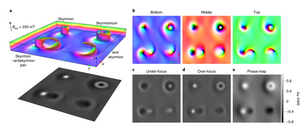 Simulation of skyrmions and antiskyrmions