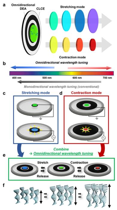 Figure | Working principle of the omnidirectional wavelength tuning.