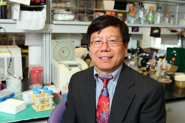 Lijun Rong, University of Illinois at Chicago
