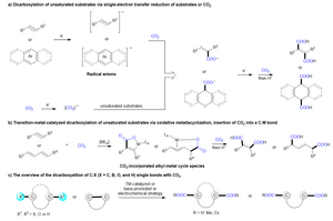 Current strategies for dicarboxylation with CO2