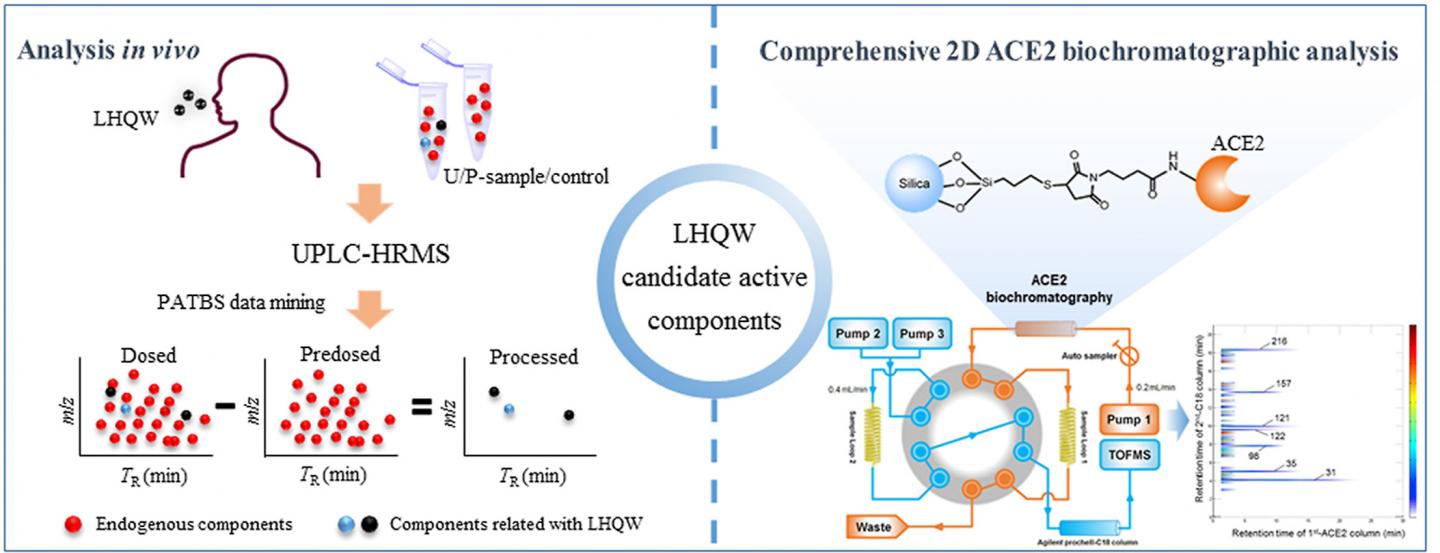 LHQW Capsule for the Treatment of COVID-19 Patients