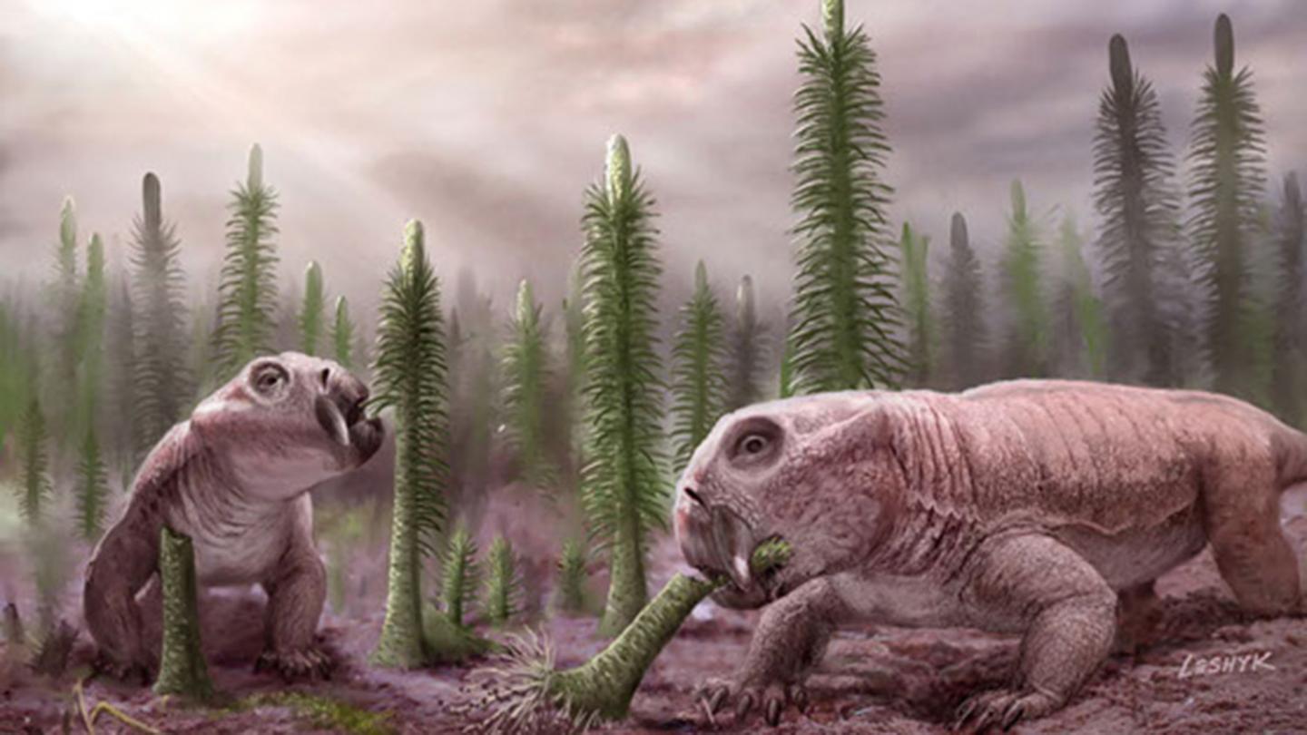 Mass Extinctions Led to Low Species Diversity, Dinosaur Rule