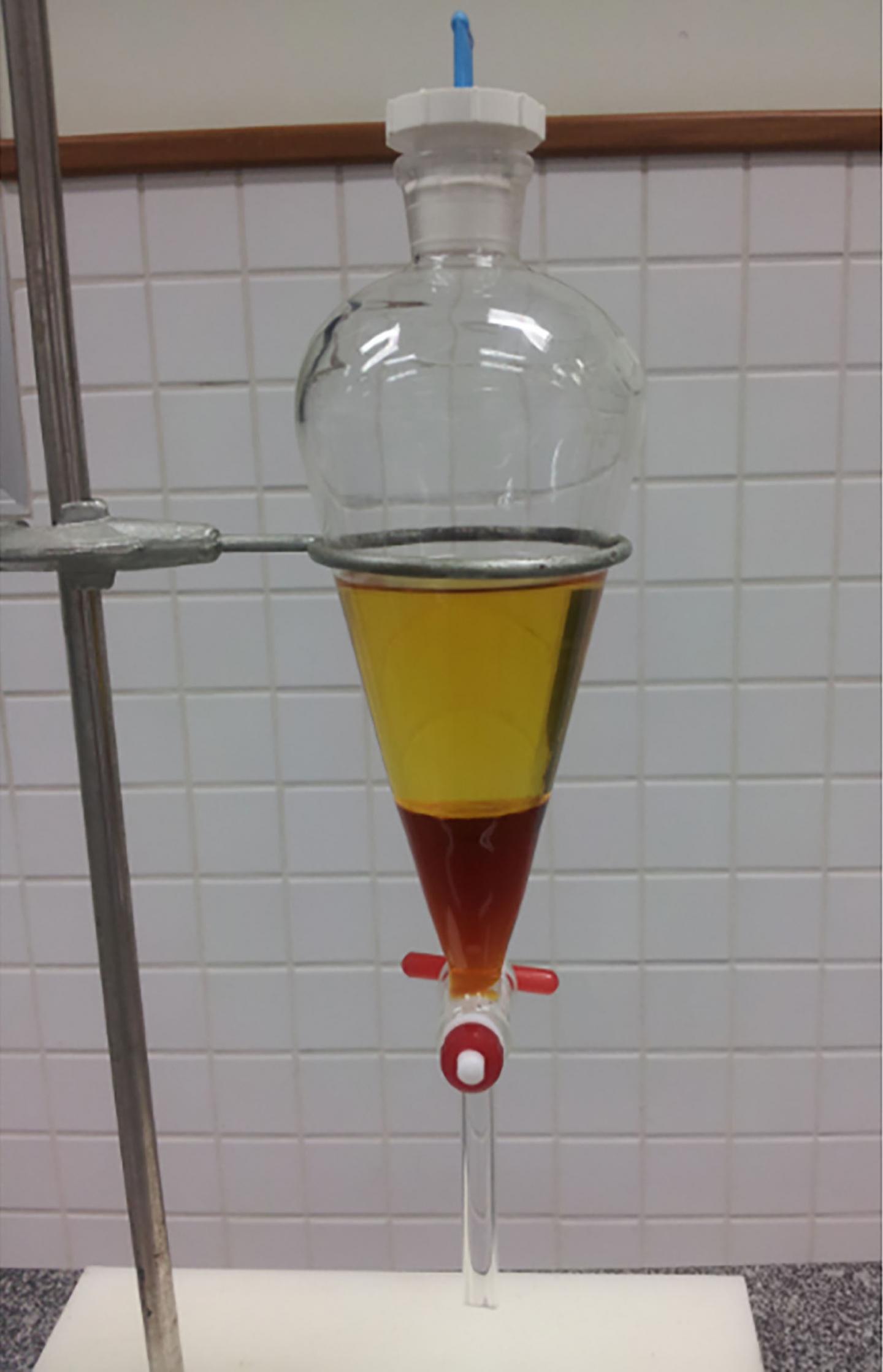 The Two-Phase System Containing Biodiesel and Glycerol