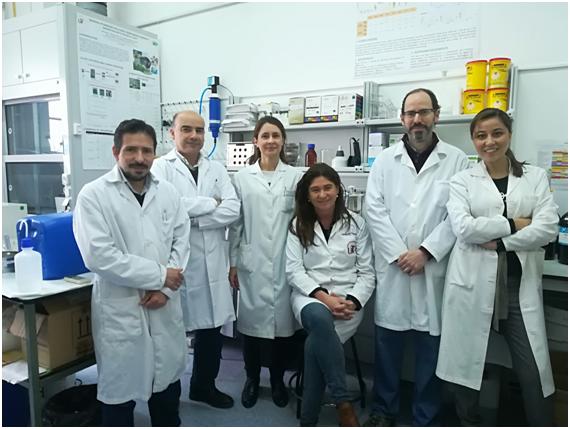 Authors of the Study