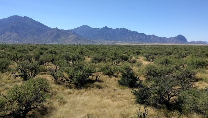 NASA grant aids geography professor's climate research on dryland regions