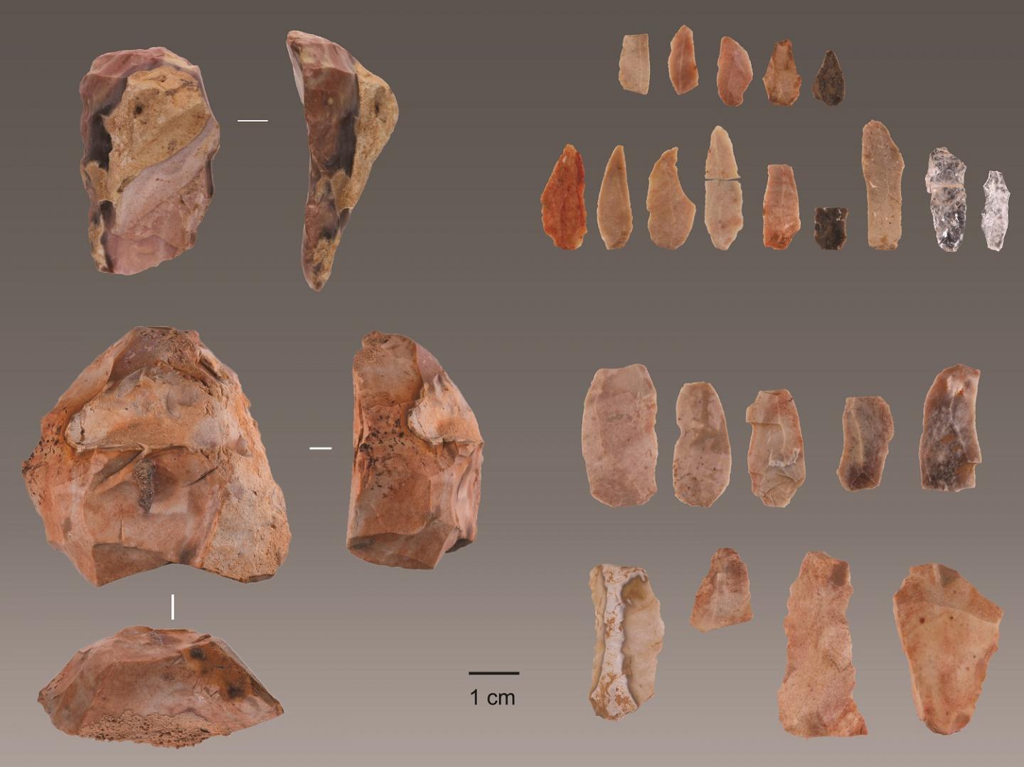 Tools discovered in Lapa do Picareiro in central Portugal.