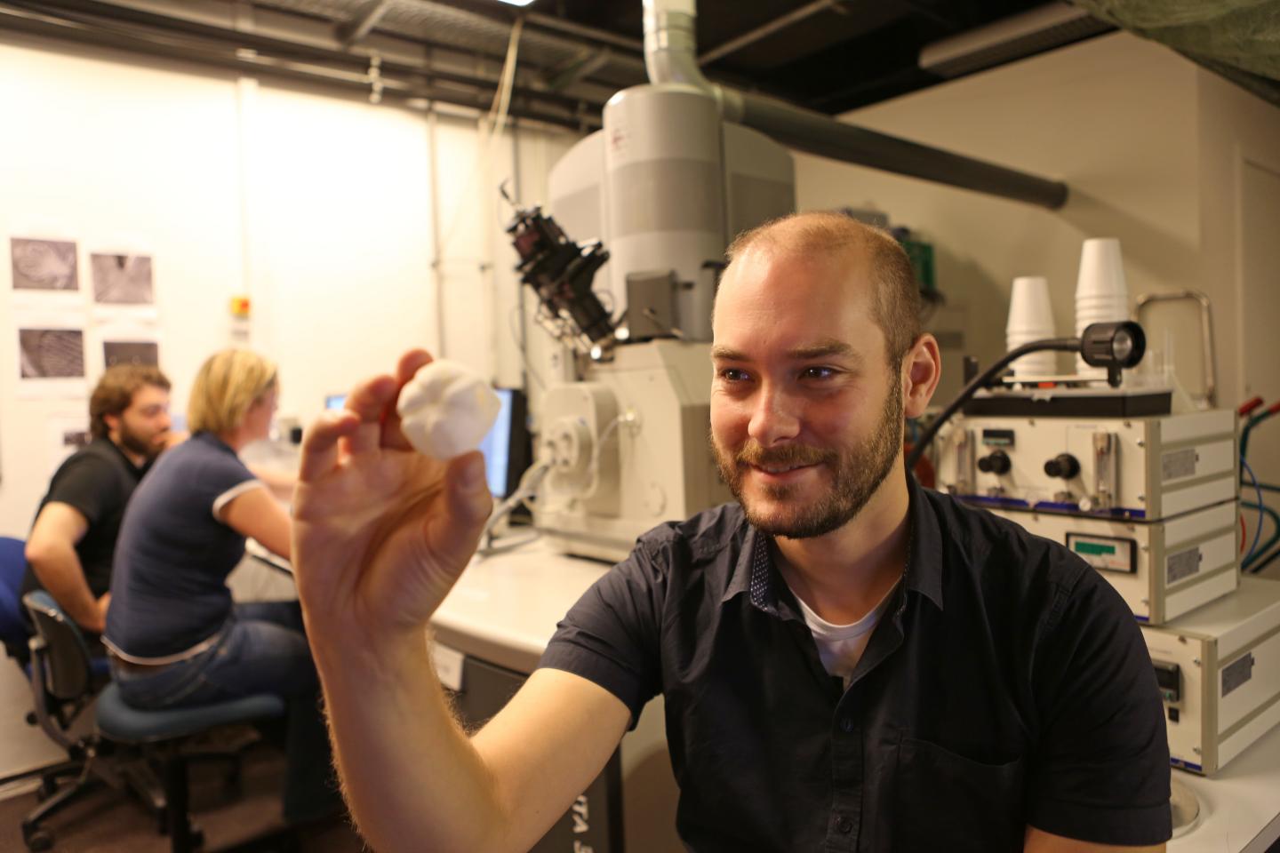 Fragile Looking Beast Makes One of the Toughest Materials Known in Nature