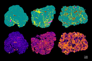 X-ray CT images from different soils