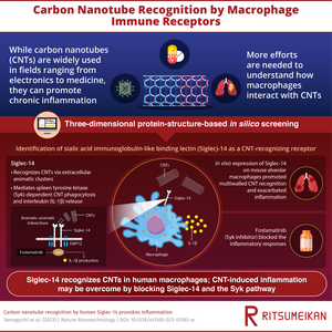 Researchers discover the cell receptor responsible for carbon nanotube detection in humans