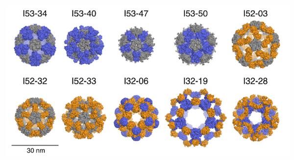 Computational Design of Large Protein Nanocages