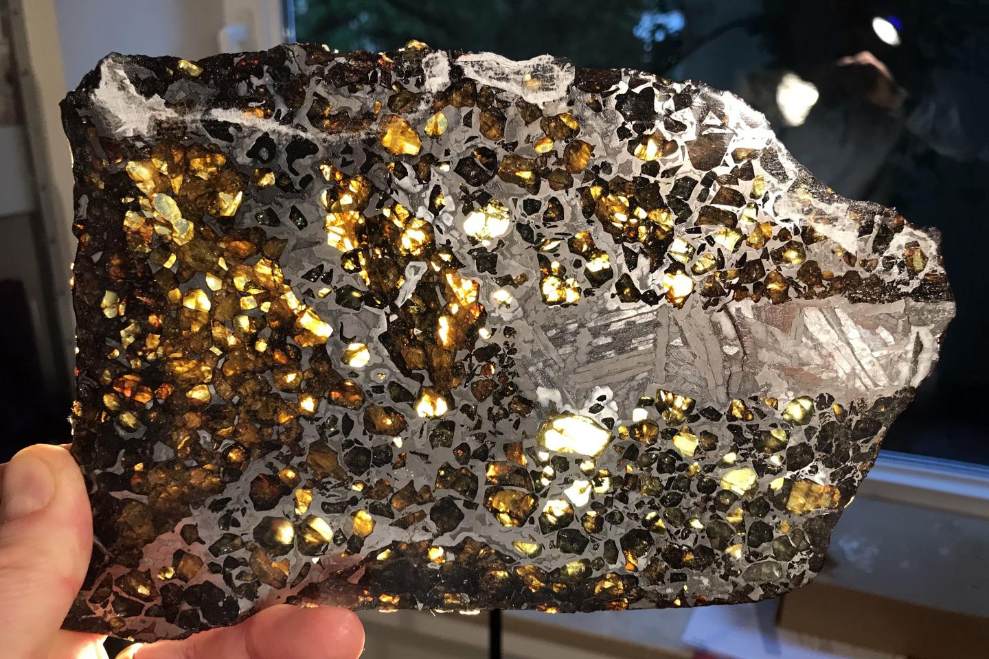 Pallasite slice