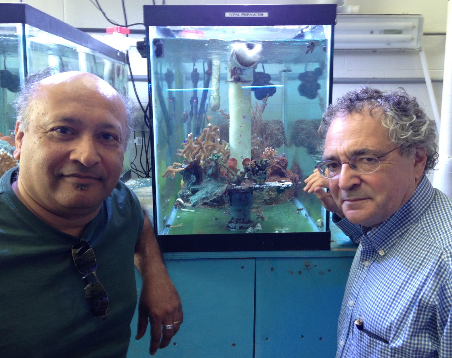 Debashish Bhattacharya and Paul Falkowski, Rutgers University