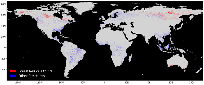 Global forest loss due to fire