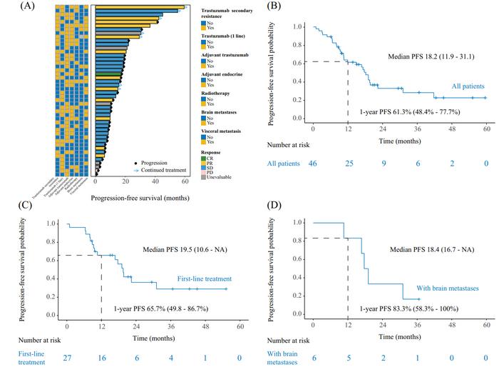 Estimates of progression-free survival