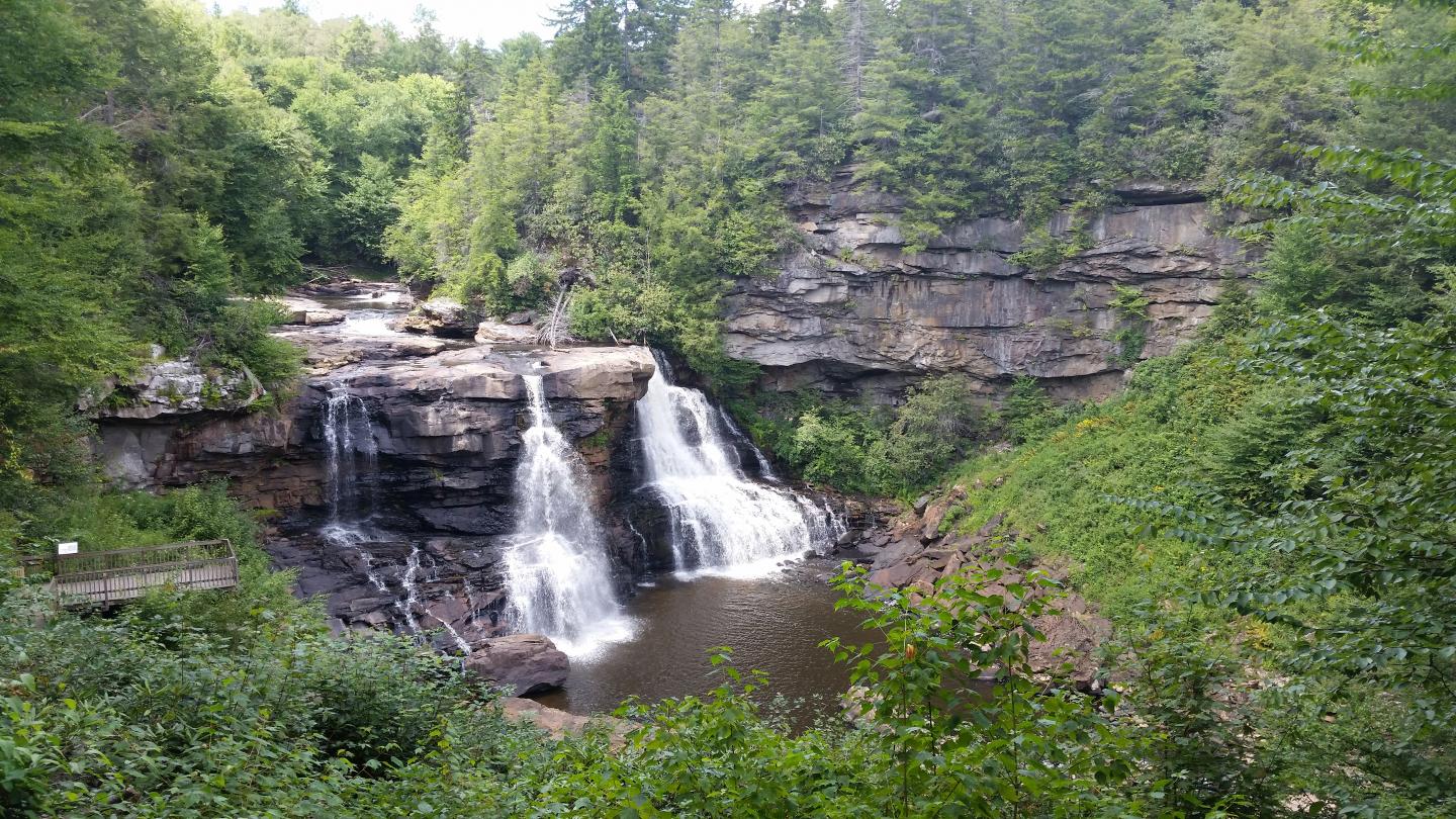 Plants Use More Water in Soils Leached by Acid Rain, West Virginia Forest Study Shows (6 of 7)