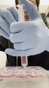 Non-neural cells in a lab