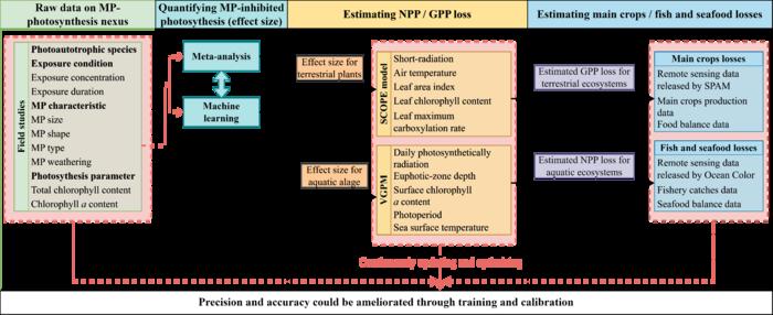 A conceptual framework that allows the continual updating of data input to ameliorate our model’s precision and accuracy