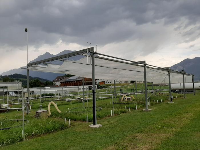 3_ClimGrass_drought_rainout_shelters_Camille_Halais.jpg