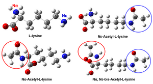 Raman and Infrared Spectroscopy Identified Different Acetylated Lysine