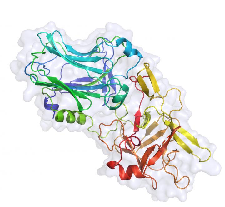 The Structure of the Part of PMP1 that 'Recognizes' the Malaria Mosquito