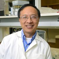 Yang-Xin Fu, UT Southwestern