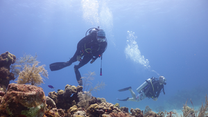 Laura Mydlarz diving