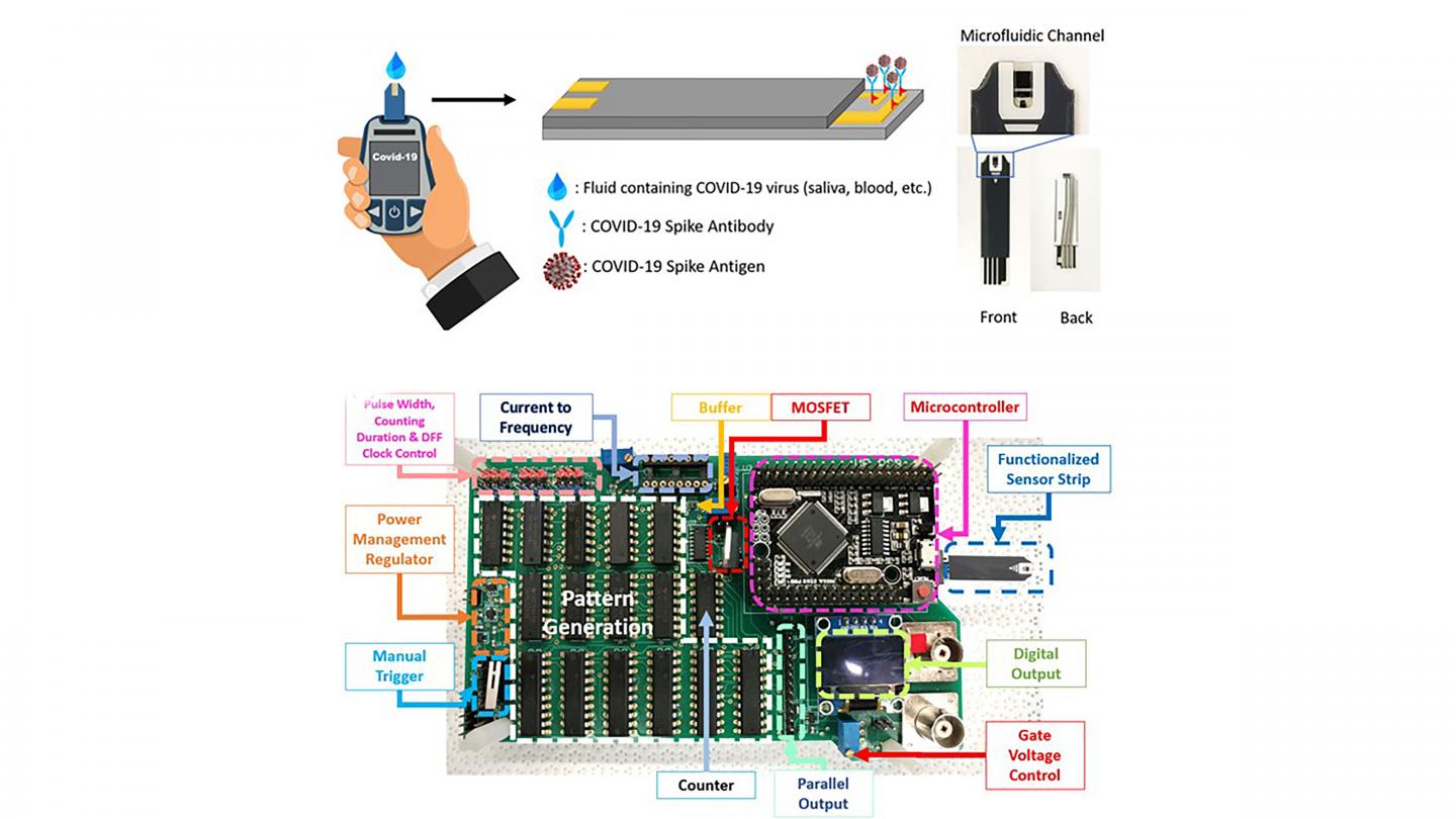 Schematic and photograph of COVID-19 sensor strip and the printed circuit board fabricated to produce a digital sensor output