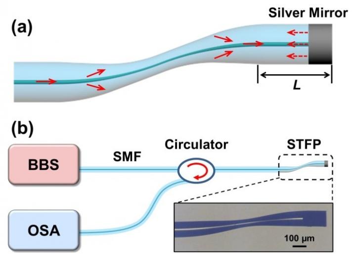 S-Tapered Fiber Probe