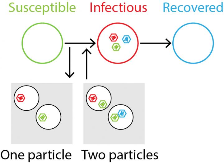 The SusceptibleInfectiousRec [IMAGE] EurekAlert! Science News Releases