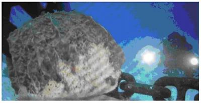 Anchor Damaging Coral