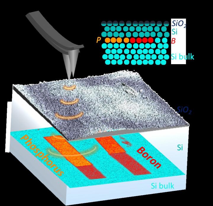 Broadband Electrostatic Force Microscop