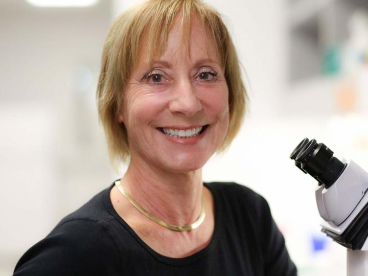 Karen Ocorr, Ph.D., Sanford Burnham Prebys Medical Discovery Institute