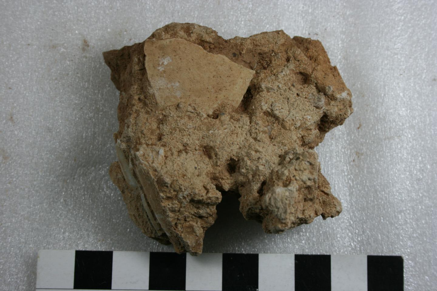 ostrich eggshell in calcrete