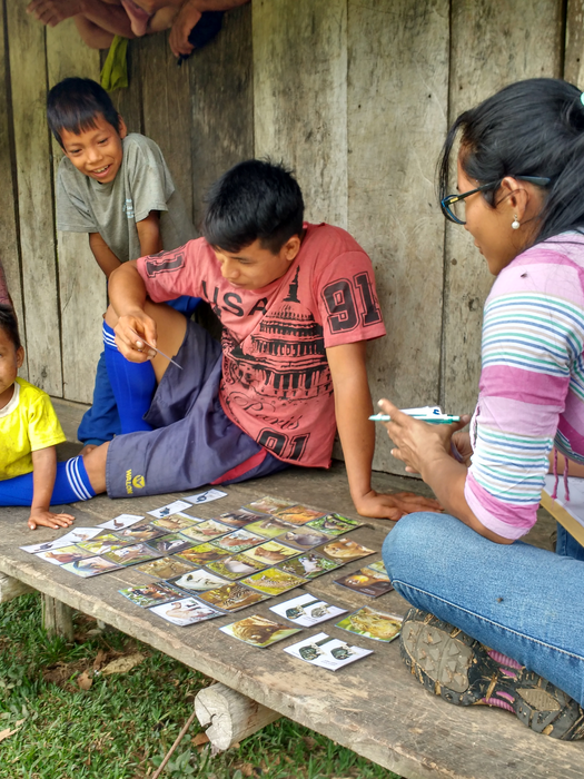 Field work in Amazonian forests
