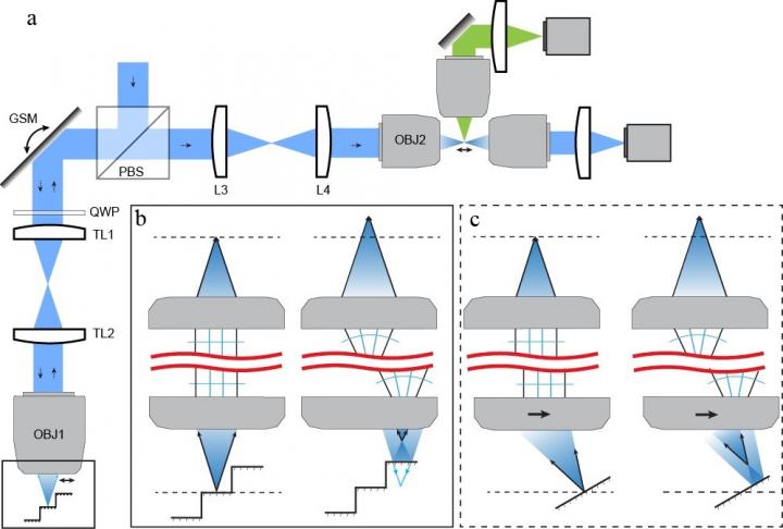 Schematic Illustration