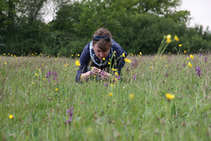 Wildlife recording